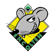 https://www.ehco.ch/de/tickets.html