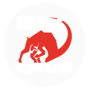 https://ehc-chur.ch/tickets/