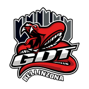 https://www.gdtbellinzona.ch/shop/